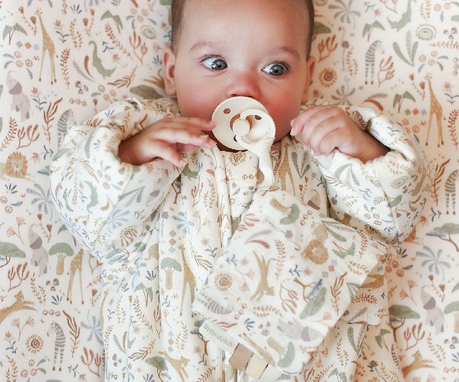 Slaapzak Little Dutch 4 Seizoenen, 3/6 maanden, 2.5 TOG | Safari Friends