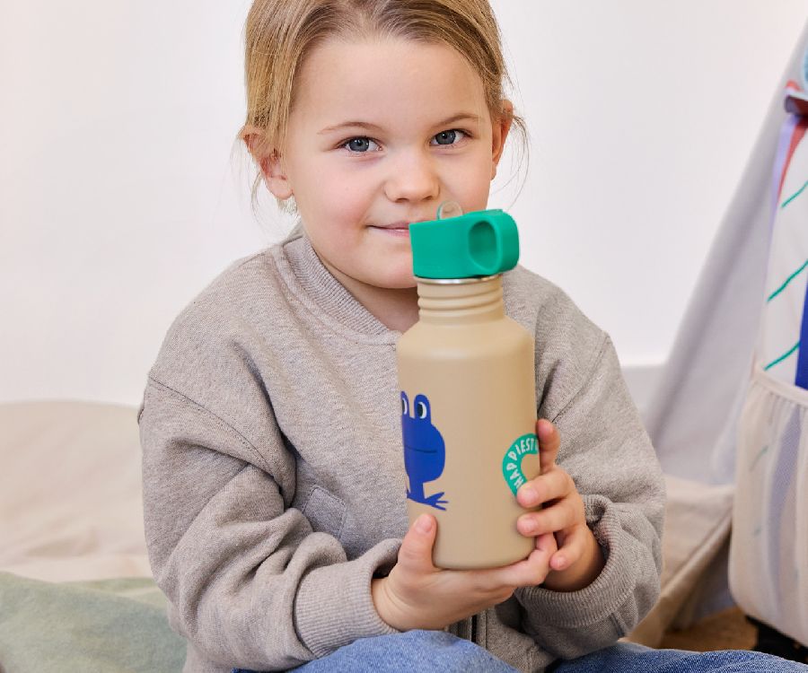 Drinkfles Laessig Bottle Stainless Steel | Happy Trails Frog School