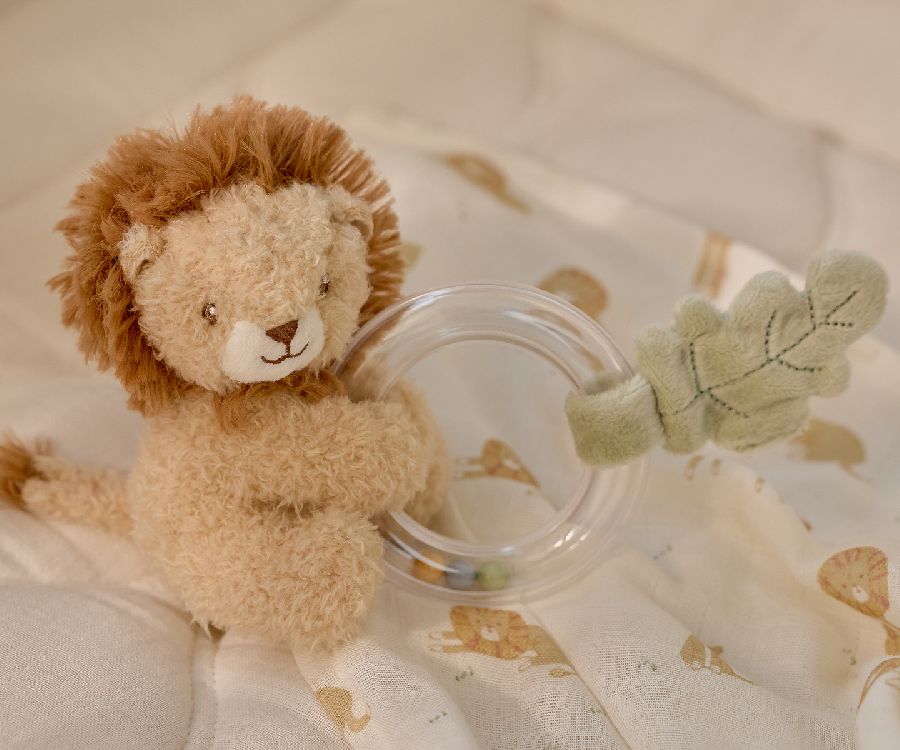 Rammelaar Little Dutch Ringrammelaar | Safari Friends