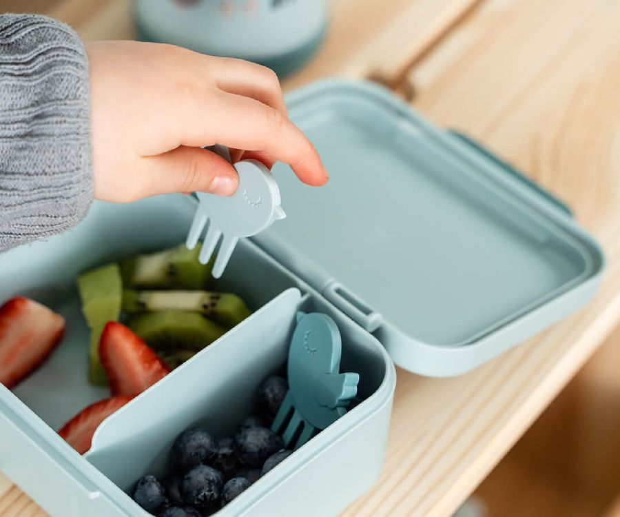 Snackdoos Done by Deer Tiny Lunch Box W/Snack Picks, 1 stuk(s) | Tiny Farm blue