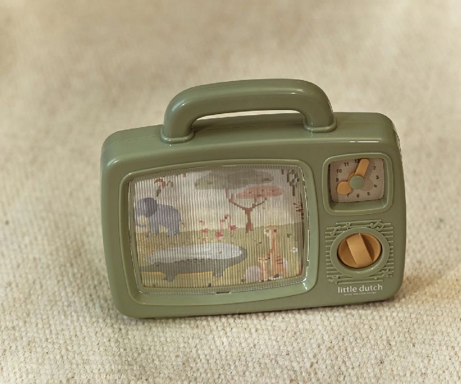Muziekdoos Little Dutch Musical TV | Safari Friends