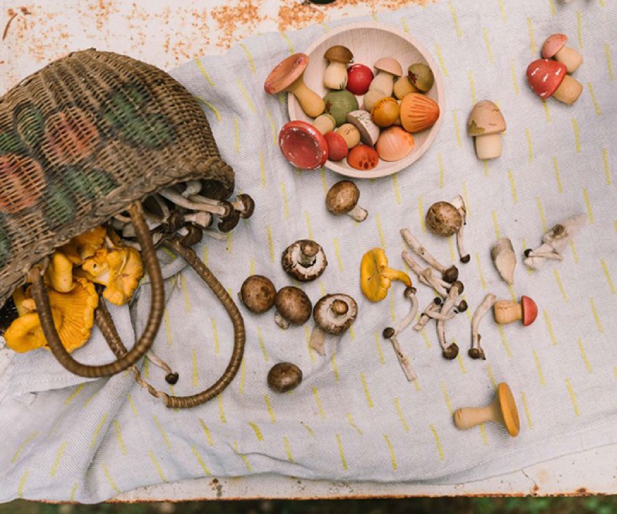 Losse vormen & figuren Grapat Mushroom Grove