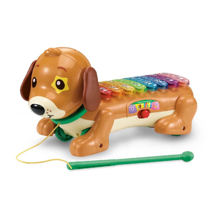 Muziekinstrument Vtech Timmie Teckel Xylofoon