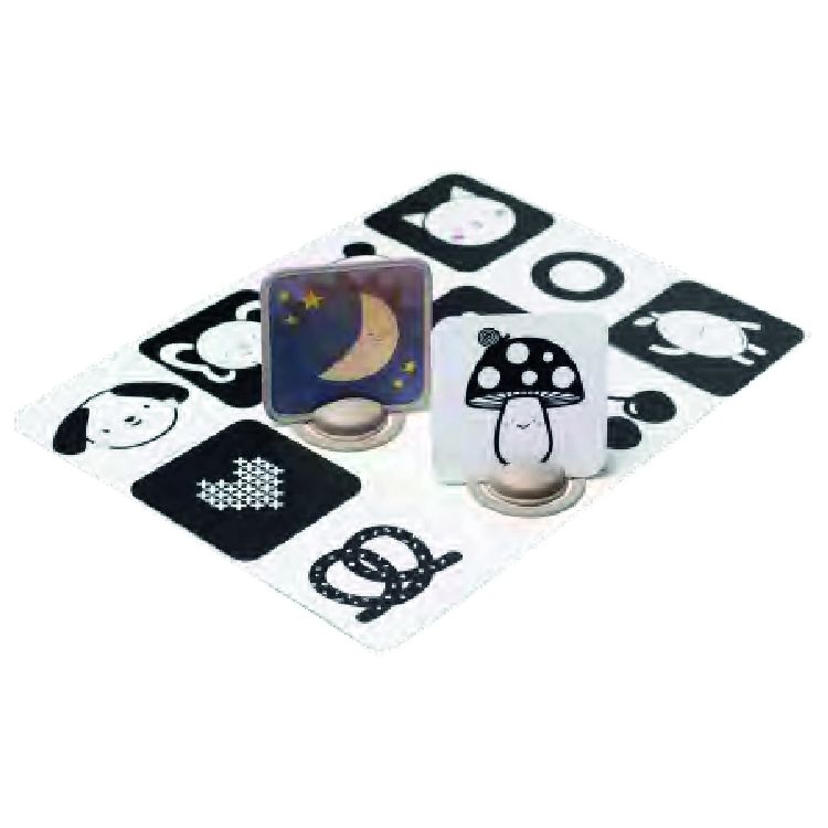 Prentenboek & -kaarten Taf Toys My 1st Discoveries Flash Cards