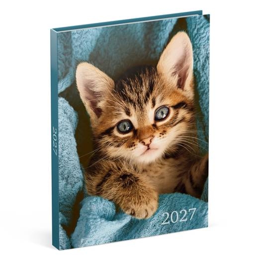 Agenda Lannoo Graphics Diary M, 2027