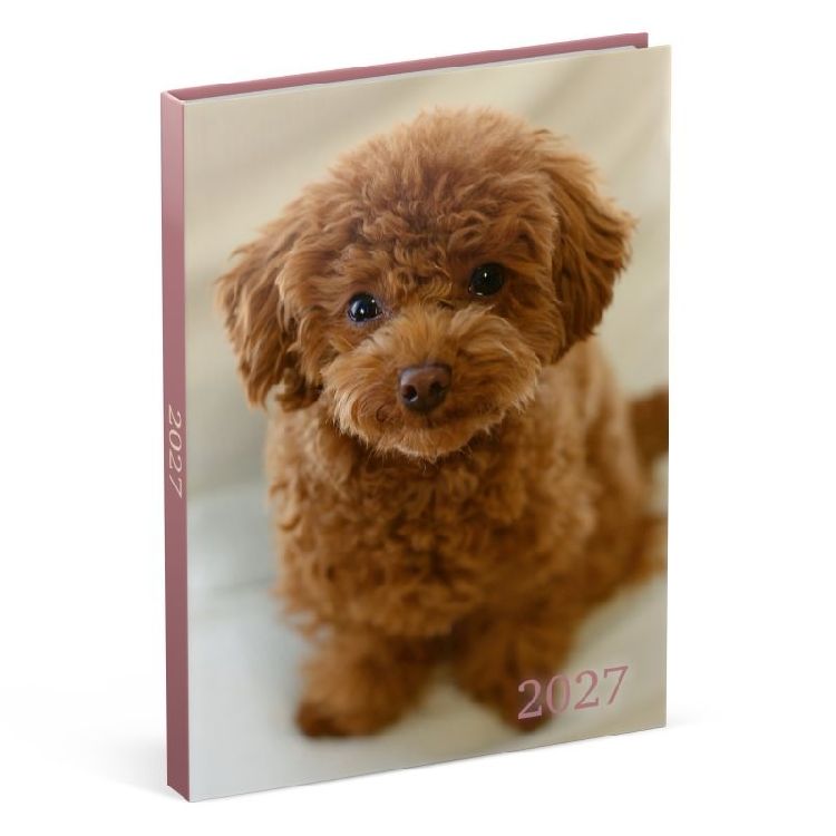 Agenda Lannoo Graphics Diary M, 2027