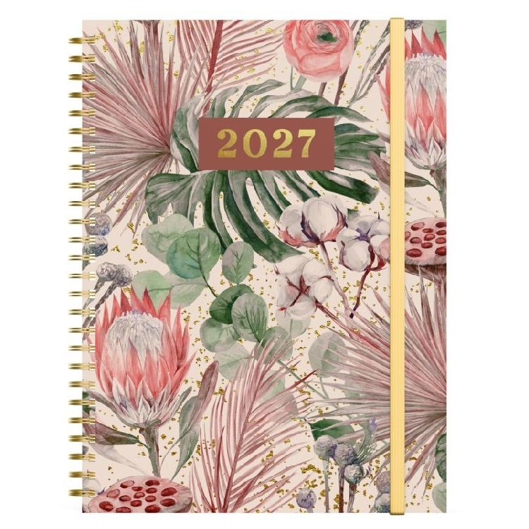 Agenda Lannoo Graphics Desk Wire-O, 2027