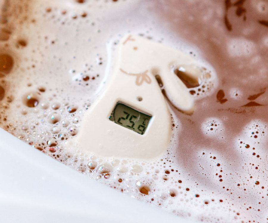 Thermometer Suavinex | Wonderland