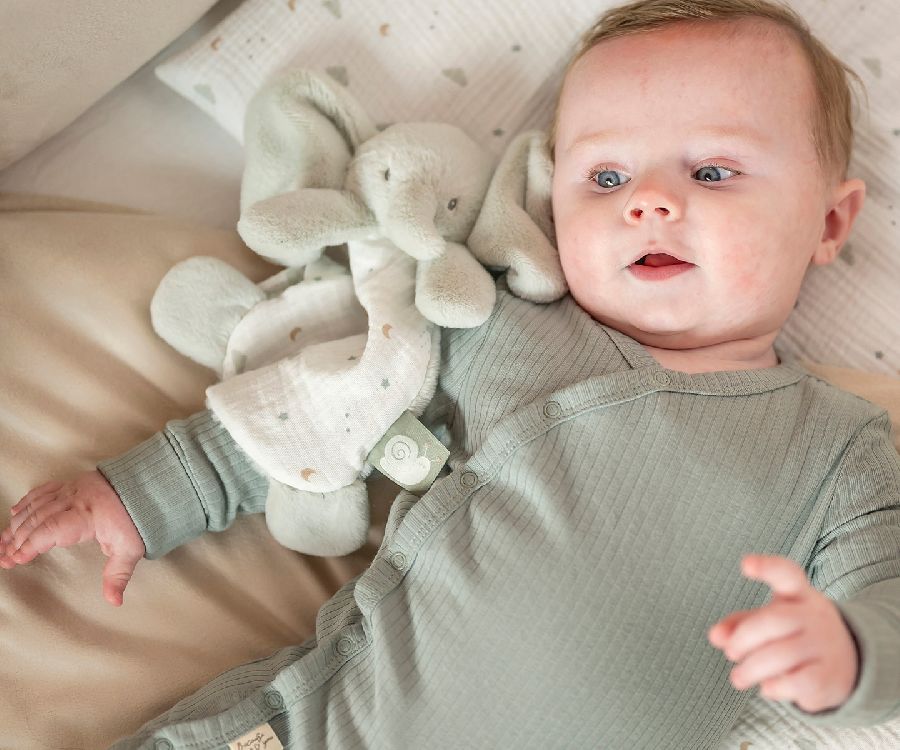 Knuffeldoek/fopspeendoekje Nattou, Mini Doudou Elephant | Loulou