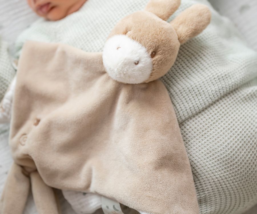 Knuffeldoek/fopspeendoekje Nattou, Knuffeldoekje Ezel Karamel | Loulou