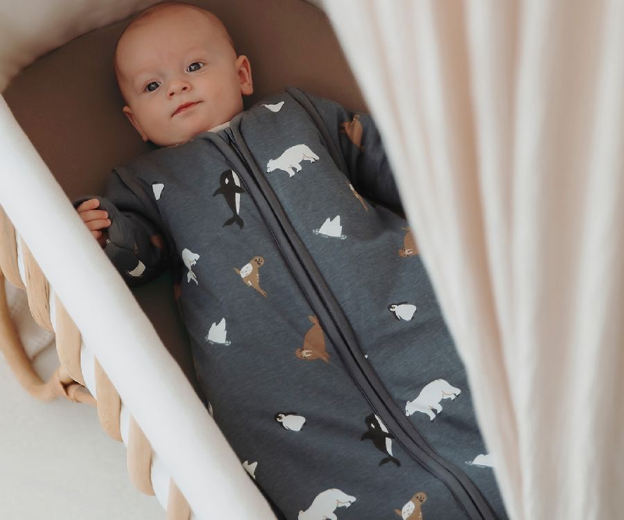 Slaapzak Meyco Baby, 3/6 maanden | Arctic
