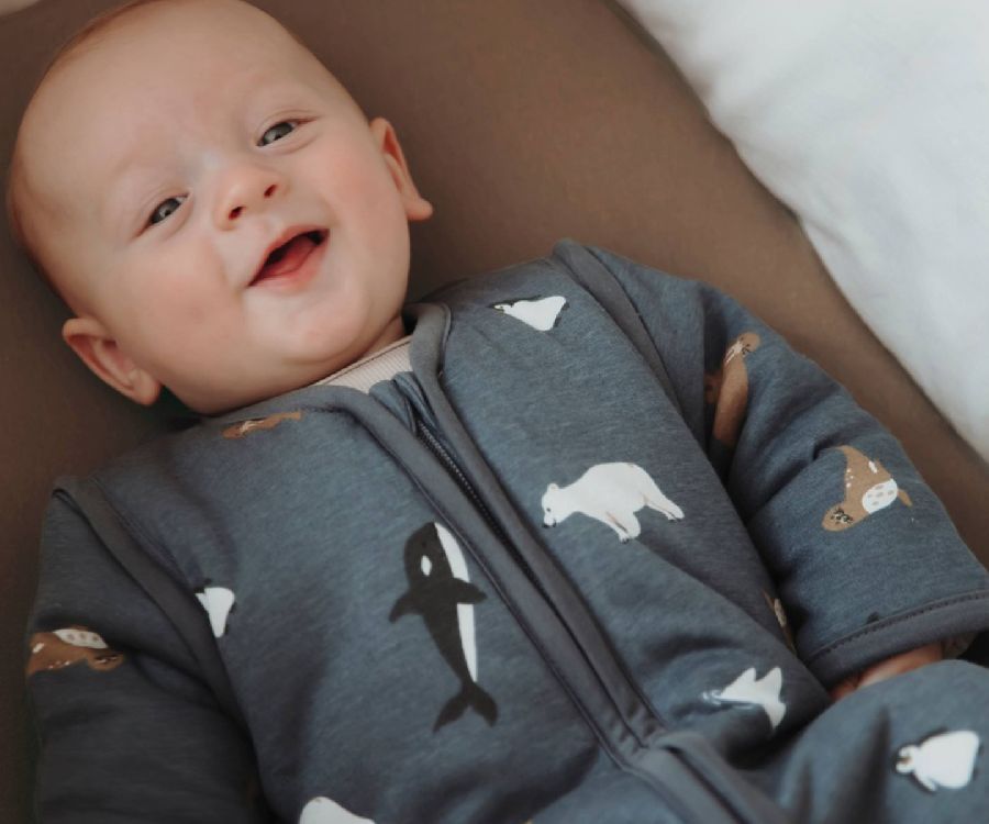 Slaapzak Meyco Baby, 12/24 maanden | Arctic