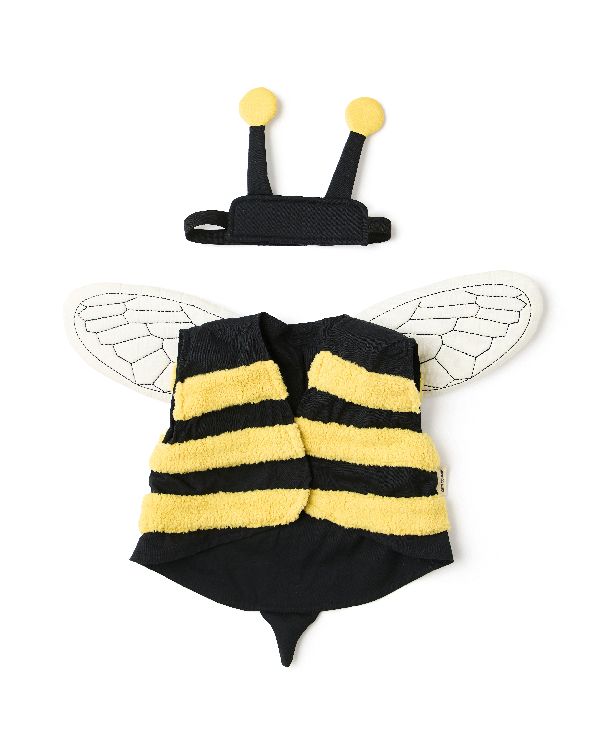 Dress Up Kids Concept, Bumblebee