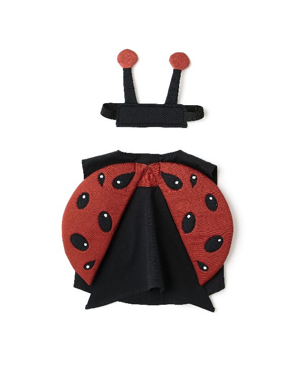 Dress Up Kids Concept, Ladybug