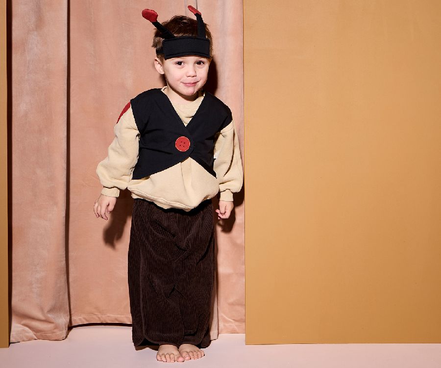 Dress Up Kids Concept, Ladybug