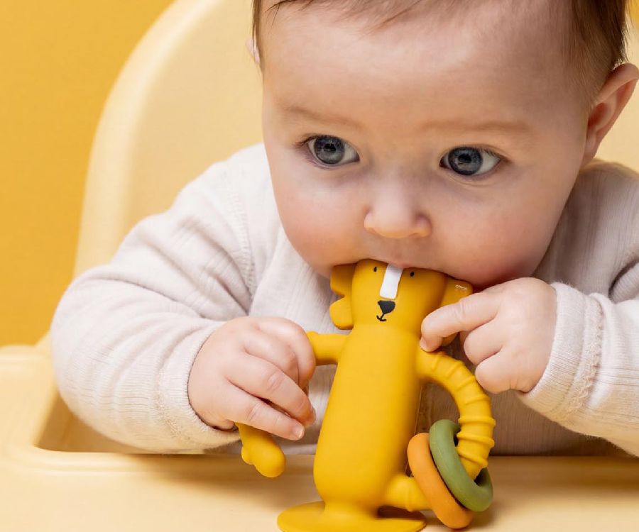 Zuignap speelgoed Trixie Silicone Sensorisch speelgoed met zuignap | Mr. Lion Playtime
