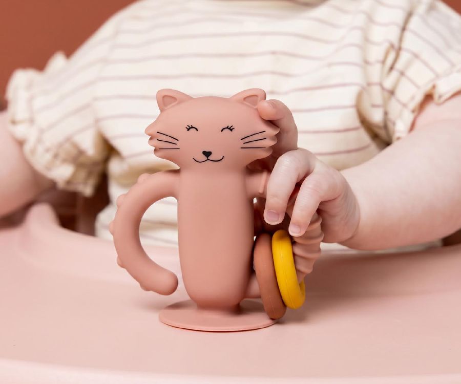 Zuignap speelgoed Trixie Silicone Sensorisch speelgoed met zuignap | Mrs. Cat Playtime